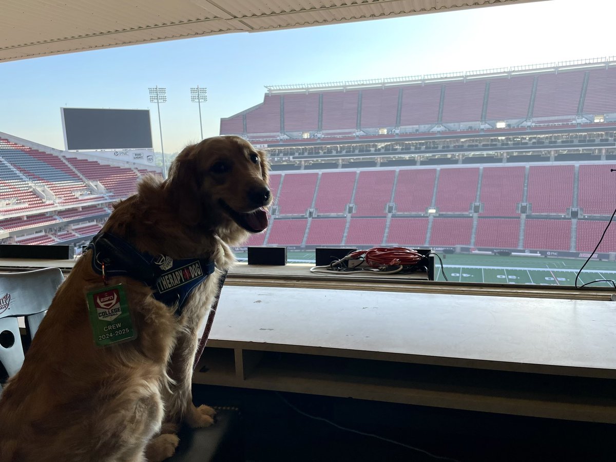 Mike Monaco tweet media