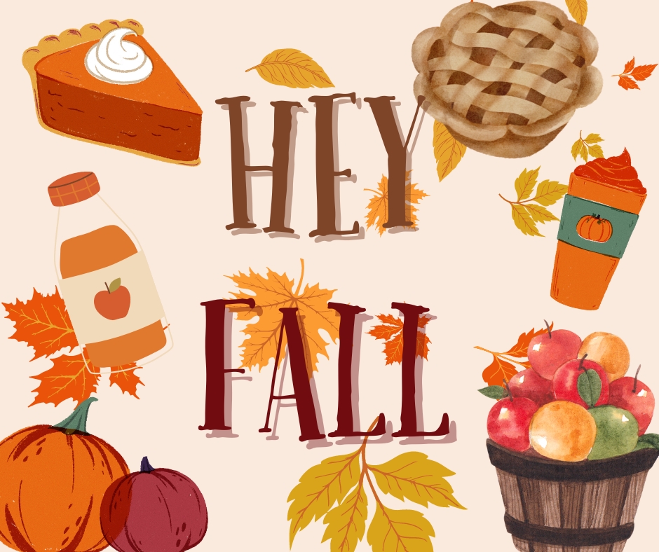 ICND - InterCoastal Net Designs tweet media