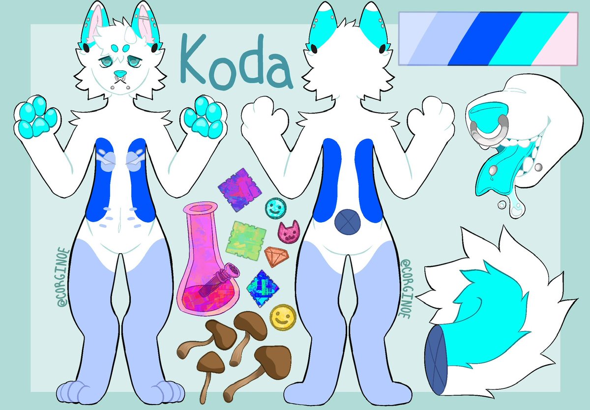 ⭐️corginoe⭐️ tweet media