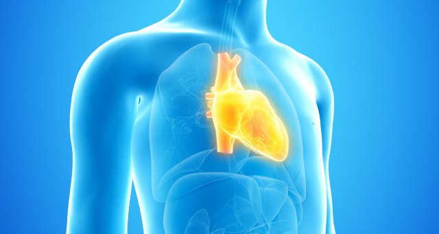 SARS-CoV-2: Impfbedingte Myokarditis könnte langfristige Folgen haben:  New York – Einige Kinder und Jugendliche, bei denen es nach der Impfung mit einem mRNA-Impfstoff zu einer Myokarditis gekommen ist, haben möglicherweise langfristige Schäden… dlvr.it/TDTcJW