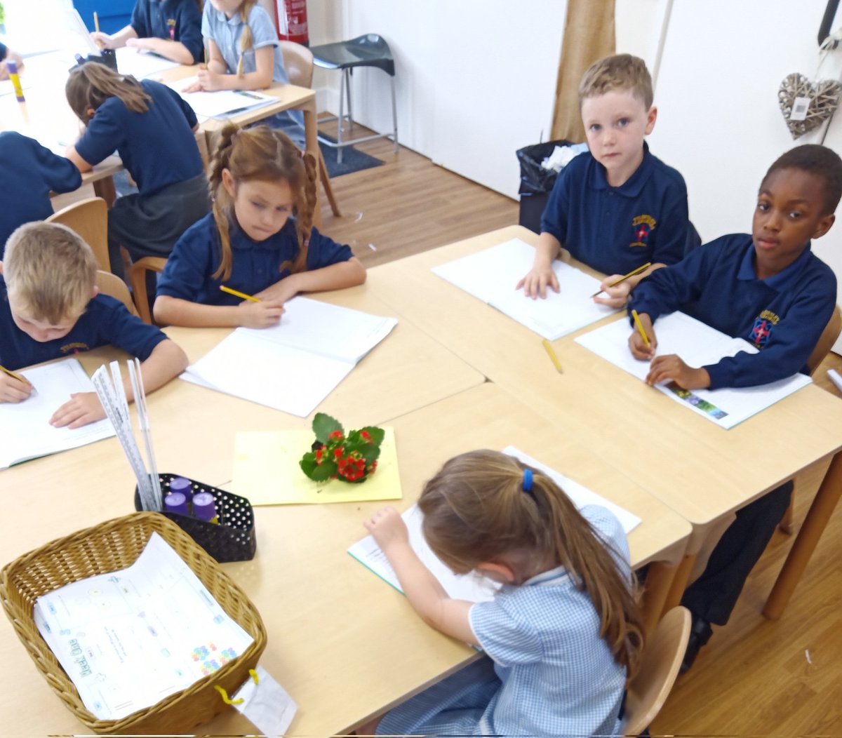 LsgcMrs's tweet photo. This week in Science, we have been creating observational drawings of some plants and labelling the different parts. @MissCBSGC @MrGSGC #SGCSCIENCE https://t.co/Cf7X6Hv76d