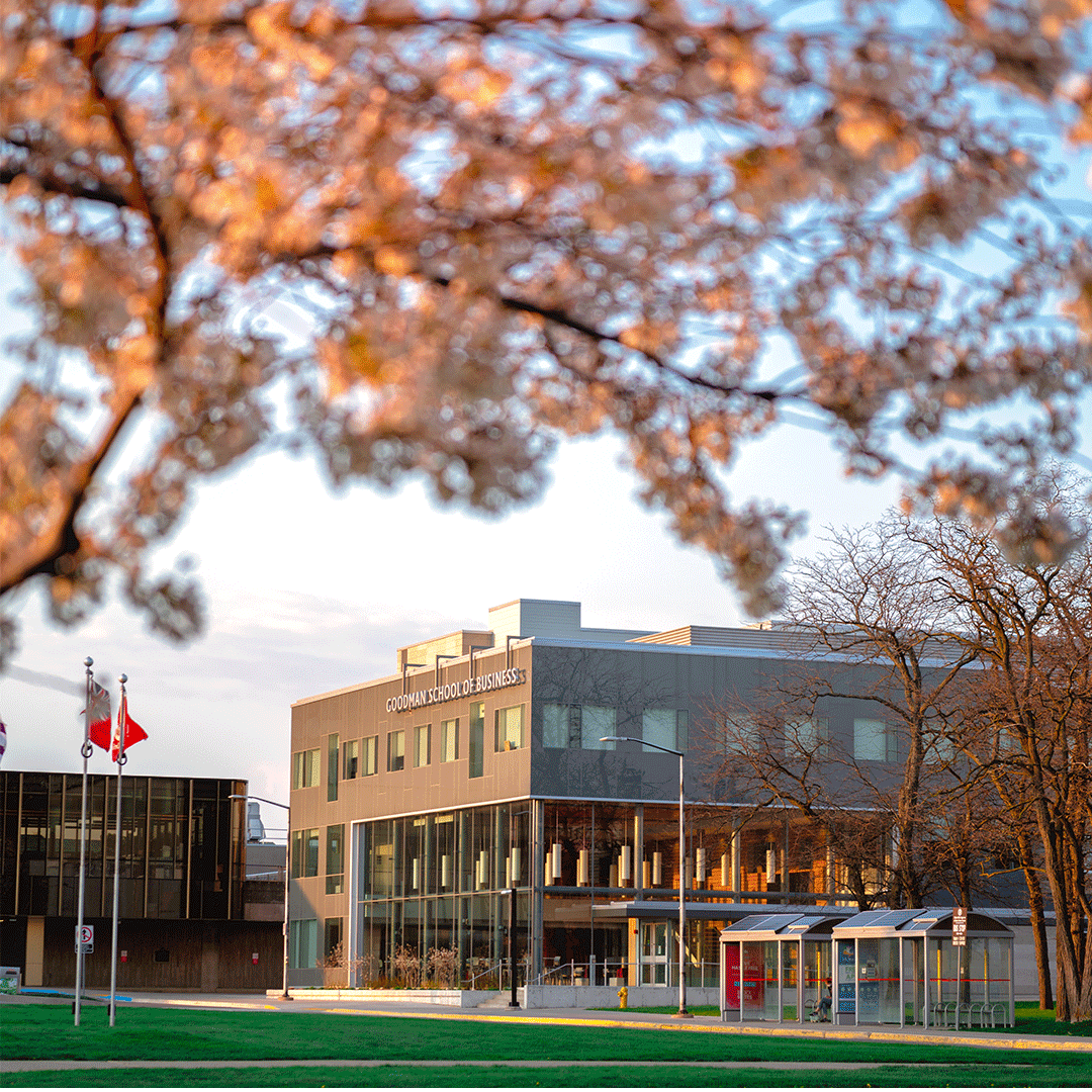 Welcome Home Badgers! 
 
Homecoming weekend is here. Be sure to tag us in your stories and photos <a href="/brockualumni/">Brock Alumni</a> 

Let's celebrate!

#BrockHOCO