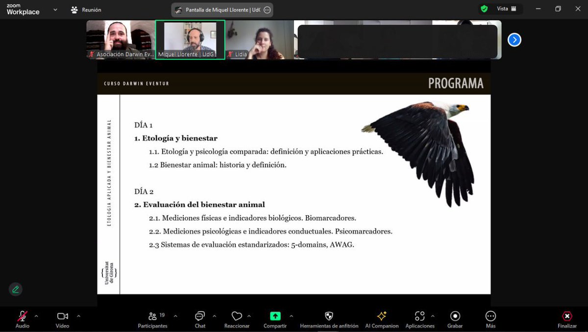 DarwinEventur's tweet image. Iniciamos el curso #EtologiaAplicada y #BienestarAnimal con @miquelpaniscus que nos va a deleitar durante 4 sesiones con su sabiduría y su forma de divulgar algo que le apasiona, un lujazo! Tenemos participantes de 6 países diferentes y esto nos emociona 😍