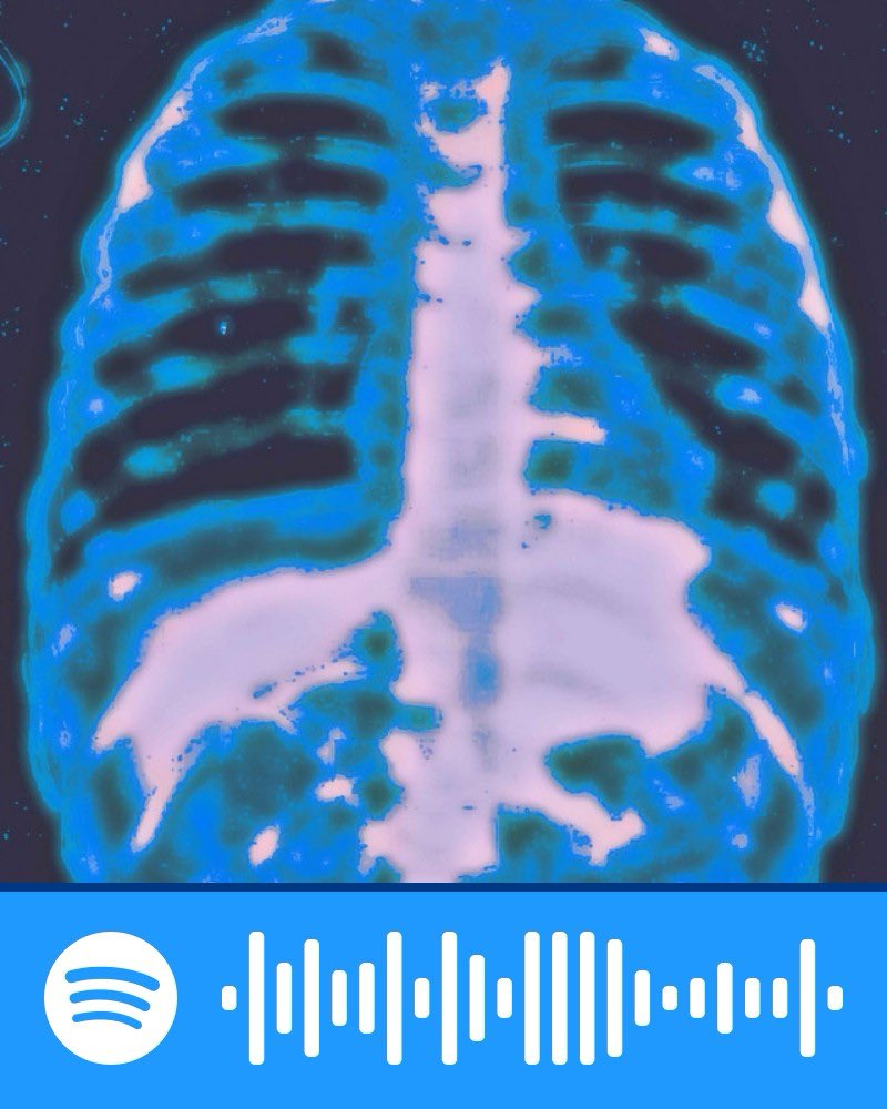 NetherWave tweet media