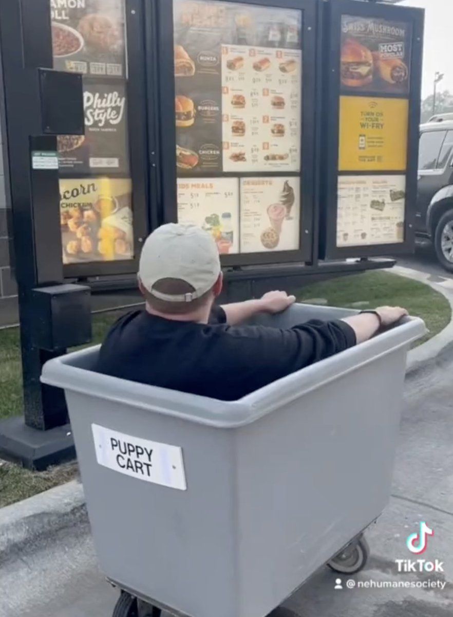 NEHumaneSociety's tweet image. we've come a long way from naming a dog "Breakfast Runza with Hashbrowns" and driving the Puppy Cart through the drive-thru 💚

come get a breakfast runza next Wednesday and 7am!