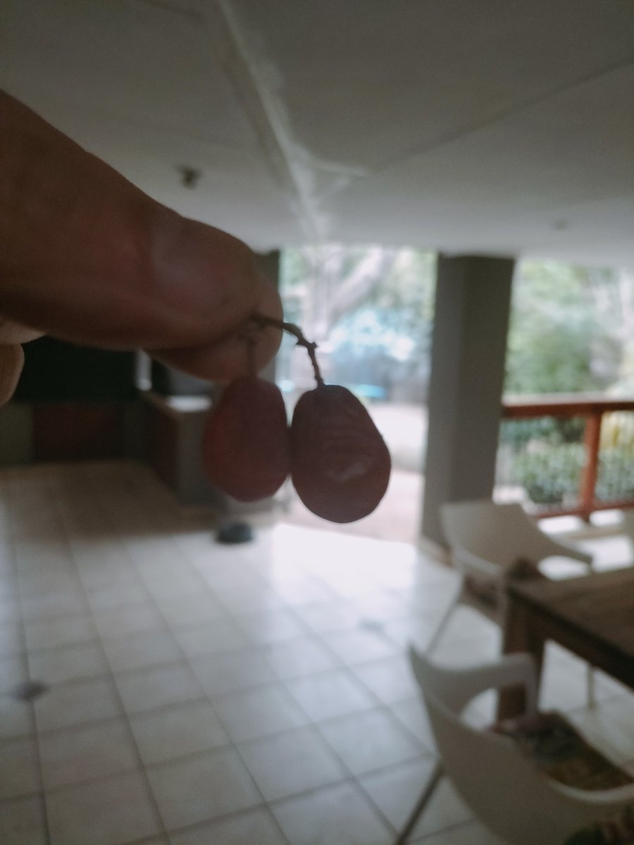 stunckle's tweet image. Tuesday in JHB Vs Friday in JHB.

#SAWeather