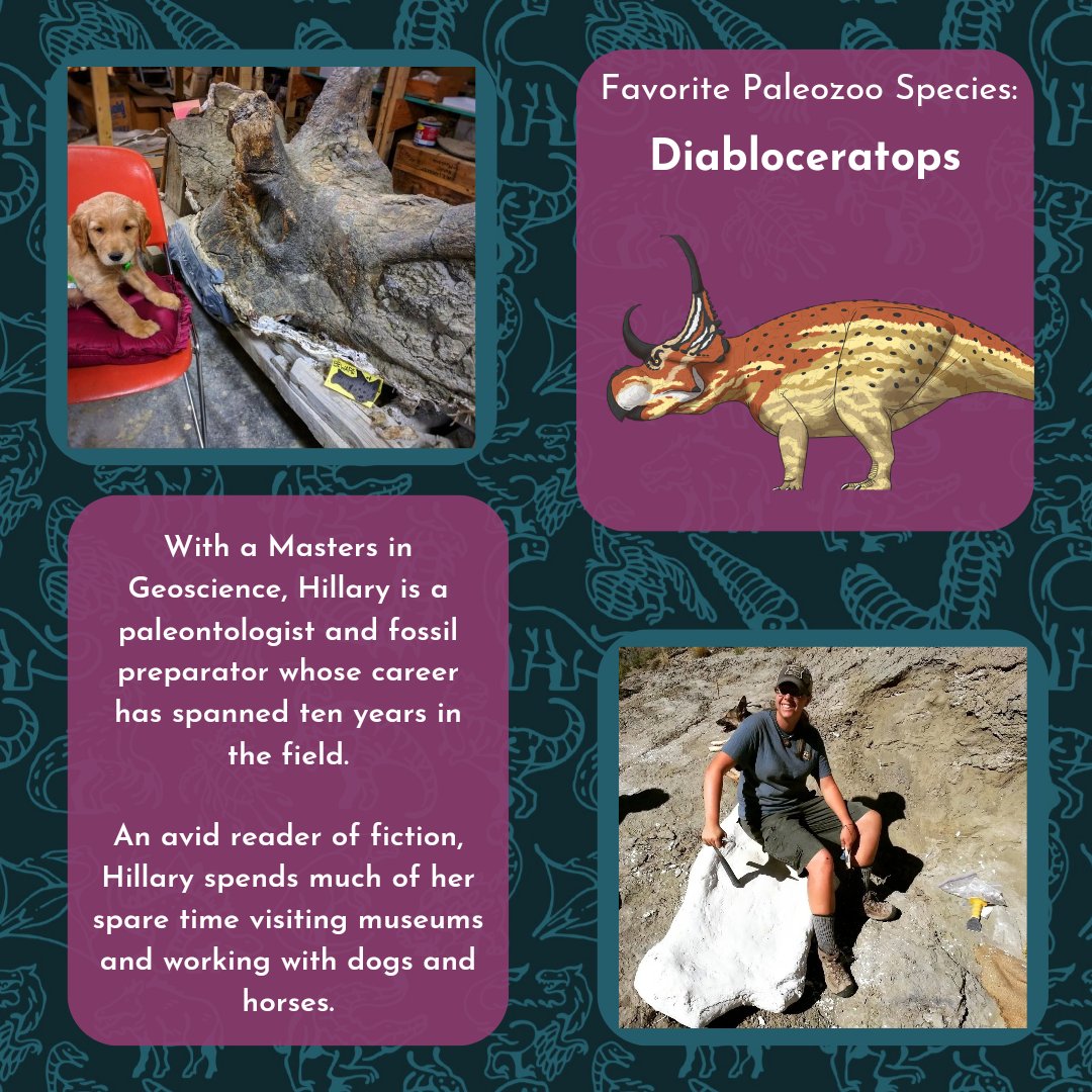 Artemis Paleozoo tweet media