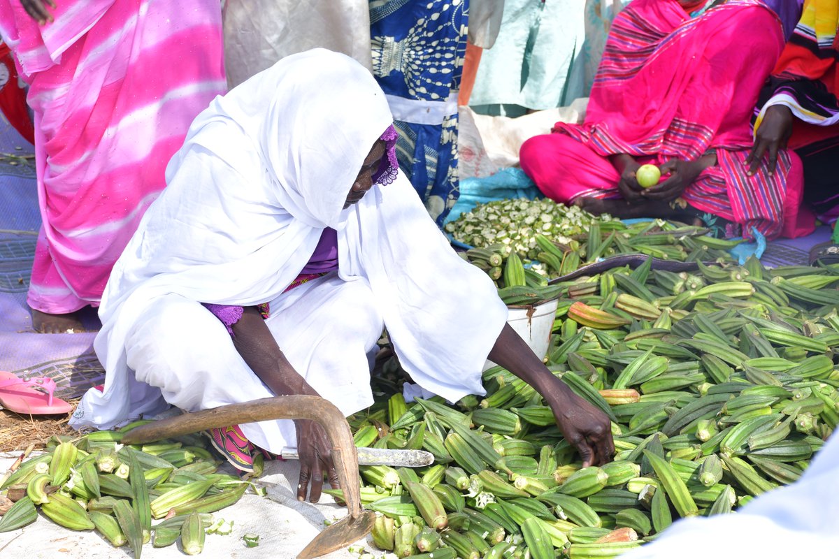 Almardi93's tweet photo. Au #Tchad, la proportion des terres arables est estimée à 39 millions d’hectares #agricultureinnovation https://t.co/0mPUiCmtzl