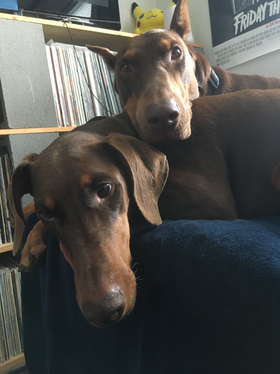 Watchin me clean my room