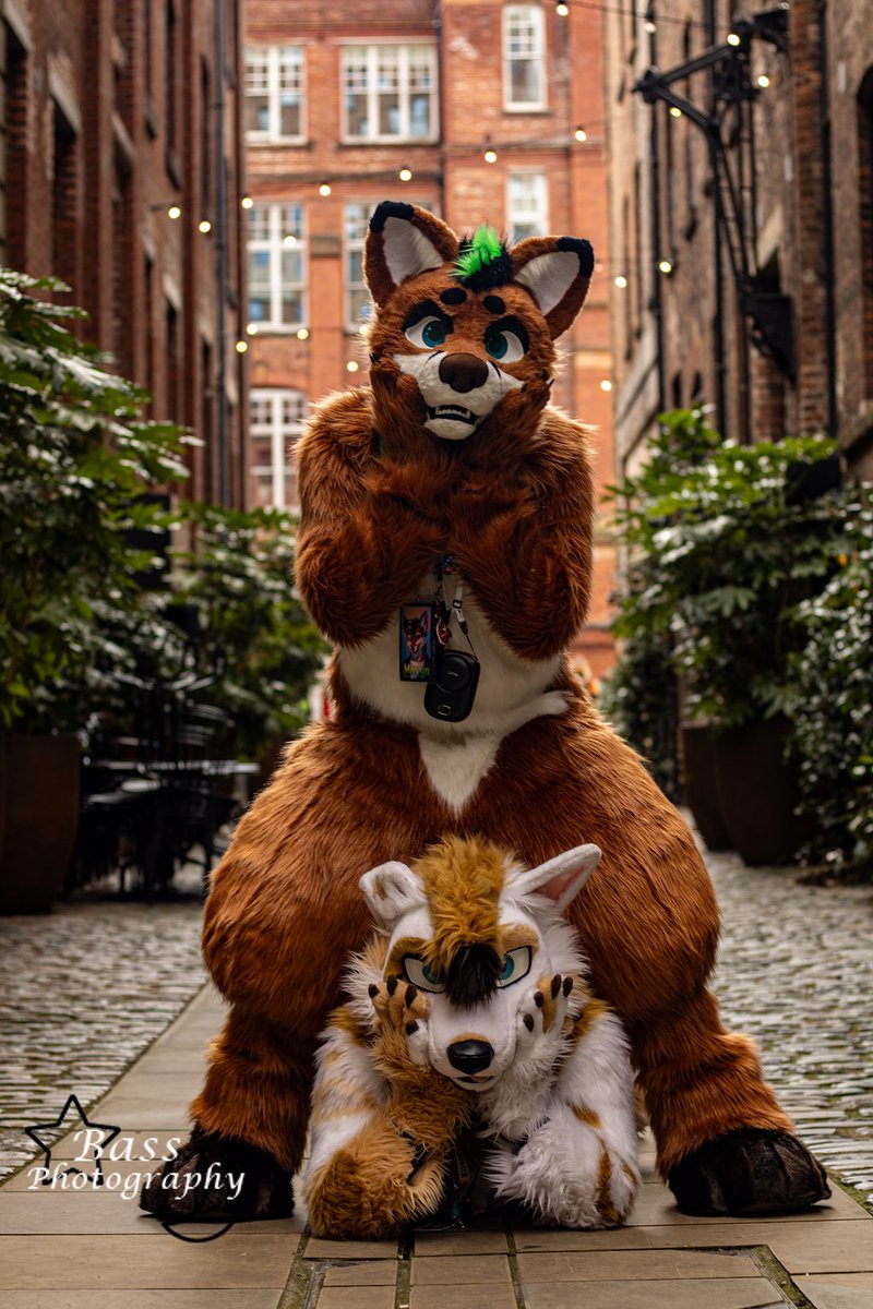Had an amazing time trotting up north for my first <a href="/MancFurs/">MancFurs</a> meet!

Got to spend time with lots of wonderful peeps I haven't seen in forever, like this cutie - how'd he get down there??

📸 <a href="/Derg_photos/">Bass_Photography</a> 

#FursuitFriday