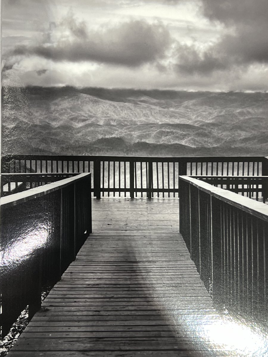 lettercaseorg's tweet photo. Come on by Booth 439 for all the patient education materials we have for new and expectant parents learning about genetic conditions. We also have a beautiful photo taken by an adult with Down syndrome with an unexpected twist! #nsgc2024 #nsgc24 #GeneChat https://t.co/566JvrZcqx