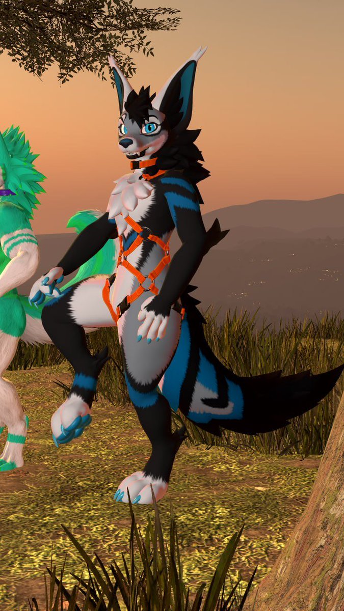 I can't thank <a href="/AlphaWerefox/">Alpha WereFox</a> enough for recoloring my boy as a Vulper! Look at how good he looks! 💙

Vulper base by <a href="/Reval_Dev/">Reval @ NFC</a> 

Also featuring <a href="/Andromeda_NF/">🌌Andromeda🌌</a> and <a href="/HexHusky/">hexhusky.bsky.social</a> and <a href="/husky_mint/">Minty Husky</a>'s butt