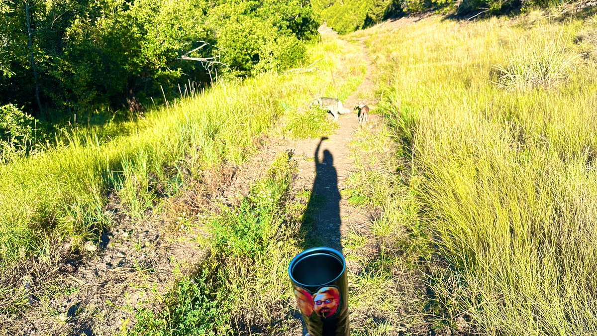 liquidmodern.bsky.social tweet media