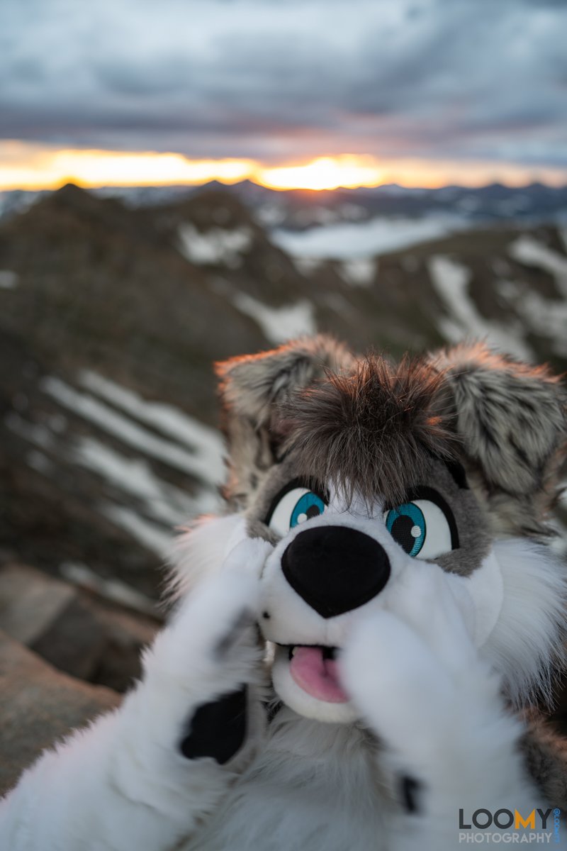 Loomy! (@loomy7) on Twitter photo 