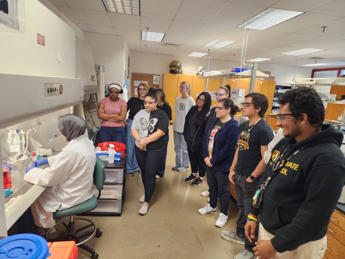 Jorge Almodóvar (@jorge_almodovar) on Twitter photo Today students from my biomaterials class visited my lab for a demonstration about mammalian cell culture. Huge thanks to lab members <a href="/lpinzonh/">Luis Carlos Pinzón H</a> and Roaa for facilitating! Today students from my biomaterials class visited my lab for a demonstration about mammalian cell culture. Huge thanks to lab members <a href="/lpinzonh/">Luis Carlos Pinzón H</a> and Roaa for facilitating!