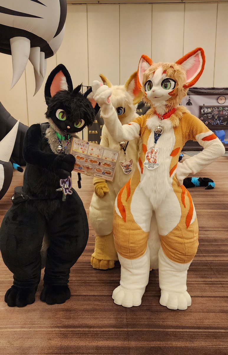 We shall build the cat tower over there. It will be magnificent...
📷<a href="/Bella_Fraise/">Bella & Fraise</a> 
#FursuitFriday