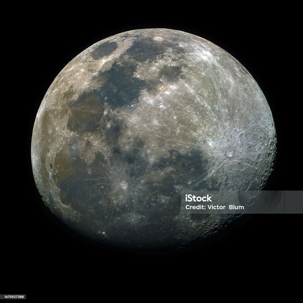 Lion Heart tweet media