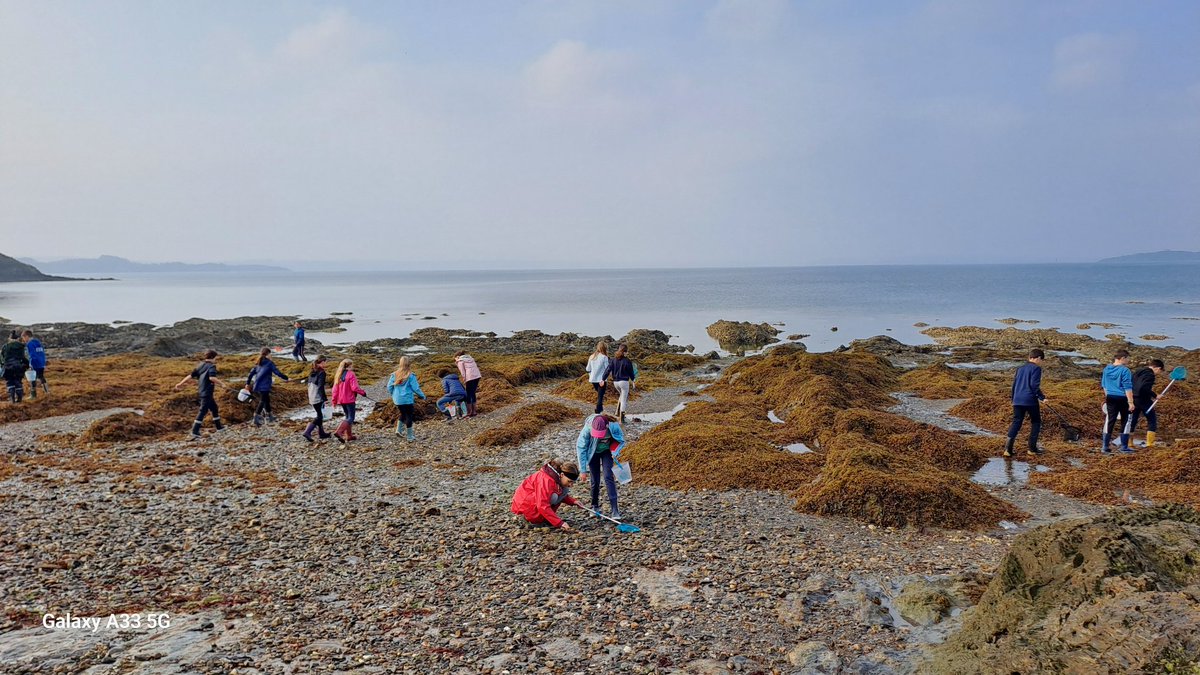 Frederique Douay tweet media