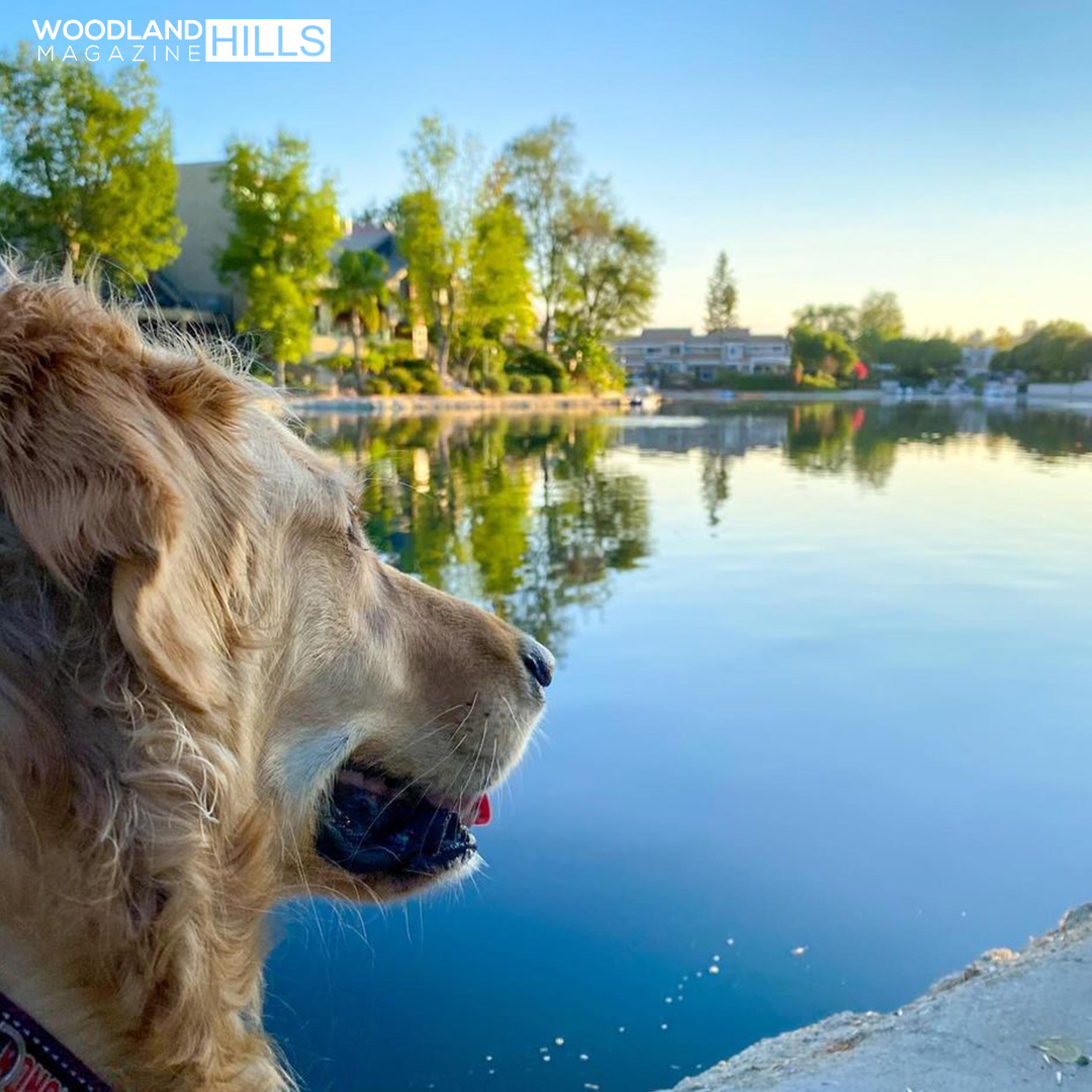 WH Magazine tweet media