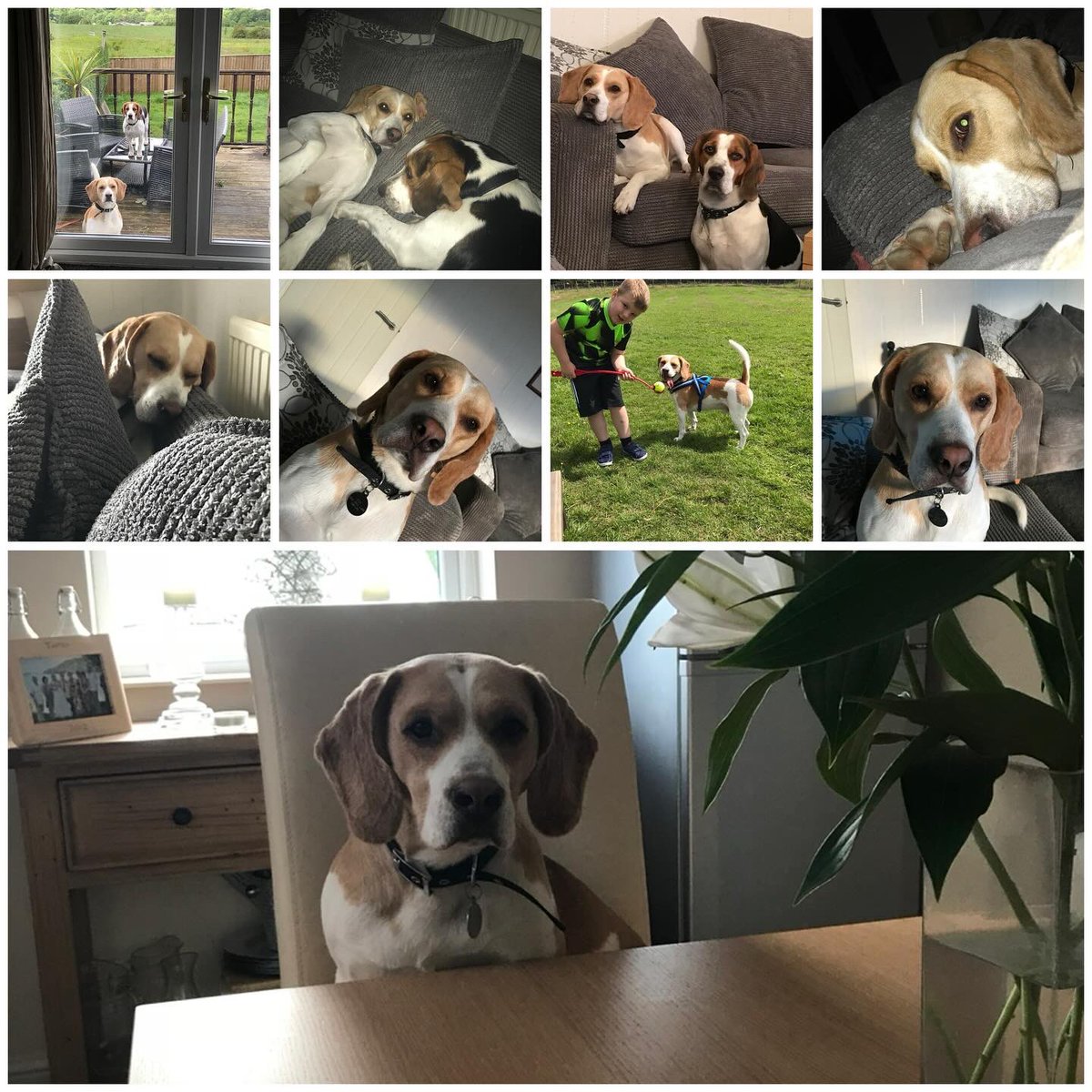 Dylan 🏴 tweet media