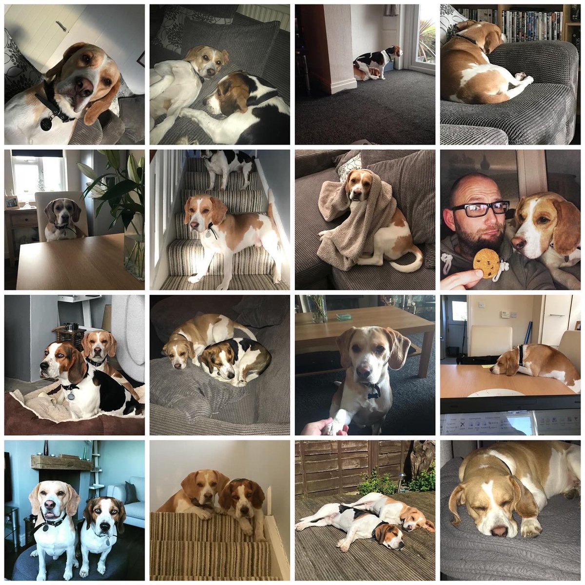 Dylan 🏴 tweet media