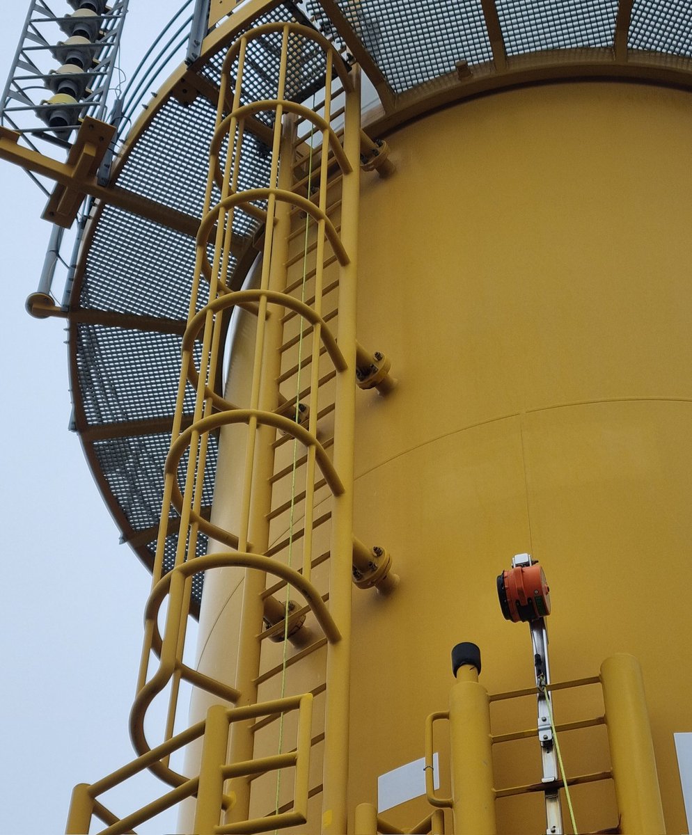 Charlotte Cartledge tweet media