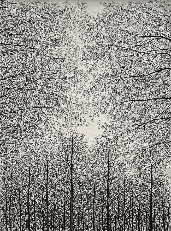 Bleak and utterly beautiful 
Tomioka Soichiro 
Japanese  (1922-1994) ‘Trees’ 1961