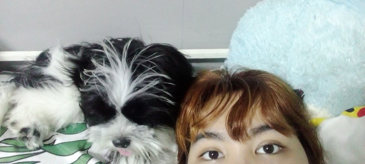 softysb's tweet image. dogsitting for a week , she's already clingy