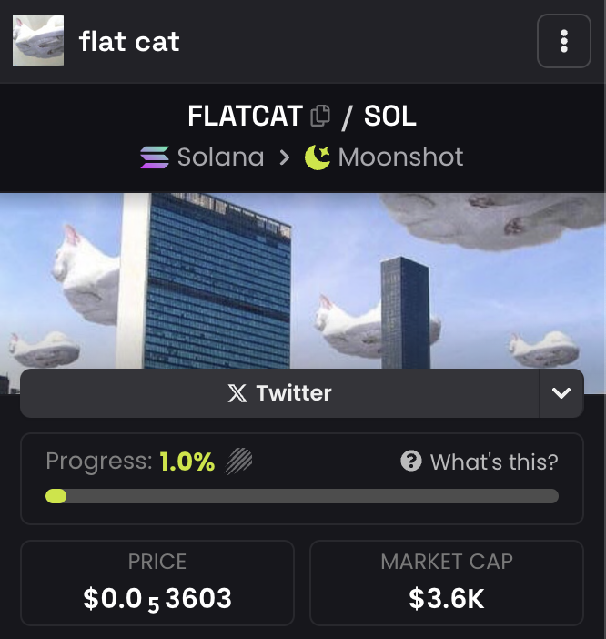 flat cat $FLATCAT tweet media