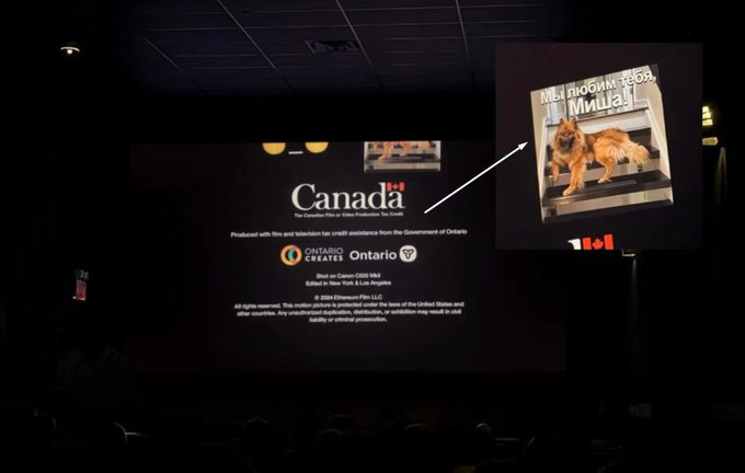 打不死的都会变得更强大，再能起来就能成神！期待新一波热度浪潮  $MISHA