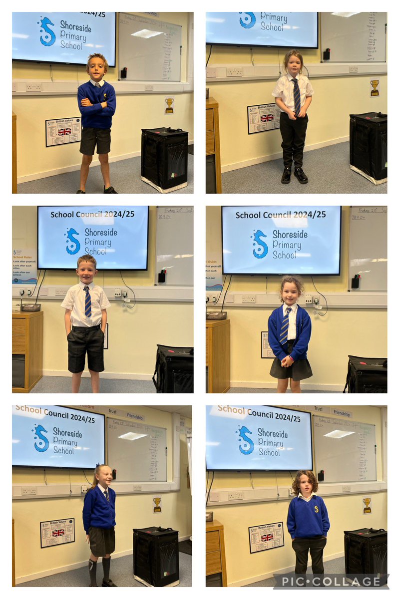 Shoreside Year 2 tweet media