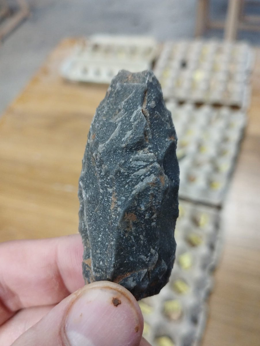 El Castillo cave Project (@castillo_cave) on Twitter photo Raedera doble quina en cuarcita
Double quina sidescraper on quartzite
MIS 4
<a href="/UNED/">UNED</a> <a href="/UNEDprehistoria/">Dpto. Prehistoria y Arqueología - UNED</a> <a href="/Biblioteca_UNED/">BibliotecaUNED</a> Raedera doble quina en cuarcita
Double quina sidescraper on quartzite
MIS 4
<a href="/UNED/">UNED</a> <a href="/UNEDprehistoria/">Dpto. Prehistoria y Arqueología - UNED</a> <a href="/Biblioteca_UNED/">BibliotecaUNED</a>