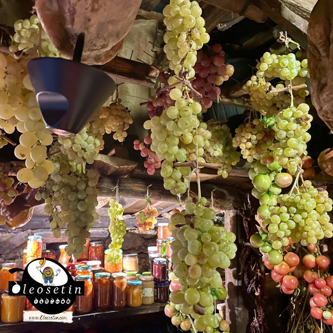 oleosetin's tweet image. ¡Ya hemos terminado la cosecha de nuestras uvas de cuelga! 🍇 Las hemos recogido antes de que lleguen las primeras lluvias, tal como nos enseñaron nuestros mayores. Así, nuestras uvas se conservarán mejor y durarán más tiempo.
#Oleosetin #RobledilloDeGata