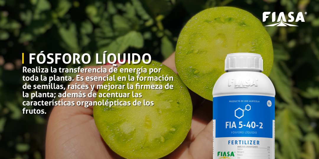 fiasamx's tweet photo. Su aplicación vía riego, con una alta concentración de Fósforo y formulado con tecnología QLT SYSTEM estimula el crecimiento de la planta, desde la raíz hasta el fruto.
Visita https://t.co/tR8KaBsIst 🐝🌱 #MoreThanaSolution #AgriculturaSustentable #Fertilizer https://t.co/XgGc4LdkO2