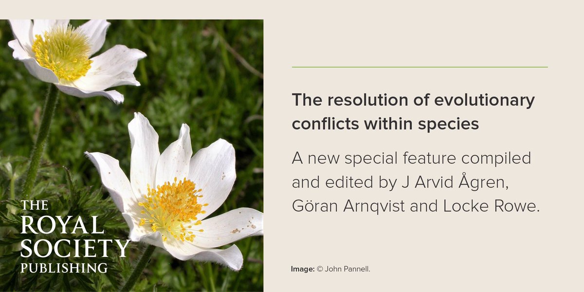 Ashleigh Griffin (@ashleighgriffi6) on Twitter photo Check out our contribution to special feature of <a href="/RSocPublishing/">Royal Society Publishing</a>. Early germ-soma commitment beats single-cell bottlenecks hands down for predicting organism complexity! With Jack Howe and <a href="/CKCornwallis/">Charlie Cornwallis</a> #procb <a href="/OxfordBiology/">Oxford Biology</a> Check out our contribution to special feature of <a href="/RSocPublishing/">Royal Society Publishing</a>. Early germ-soma commitment beats single-cell bottlenecks hands down for predicting organism complexity! With Jack Howe and <a href="/CKCornwallis/">Charlie Cornwallis</a> #procb <a href="/OxfordBiology/">Oxford Biology</a>