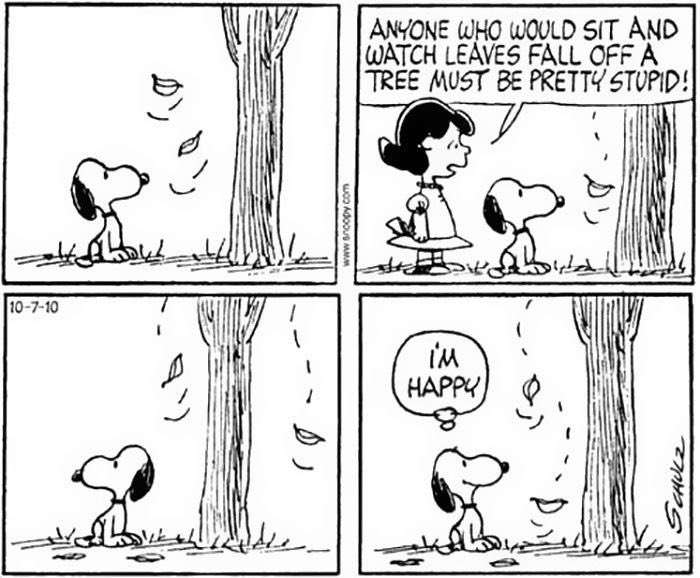 Daily Snoopy (@dailysnoopys) on Twitter photo 