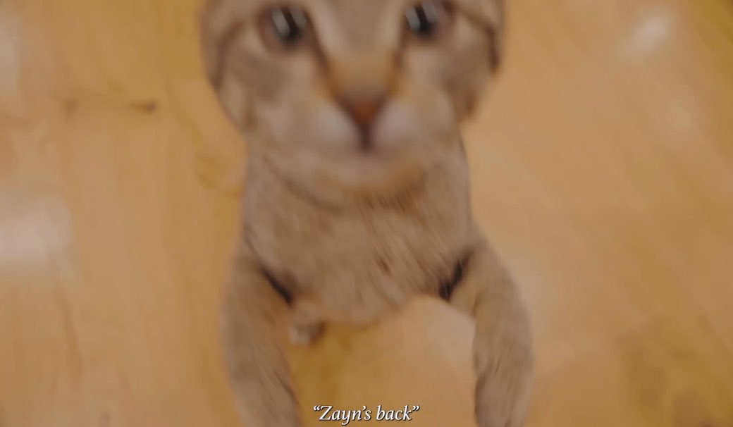 zjmposts's tweet photo. thinking about this sequence https://t.co/EWiUUa2iJY
