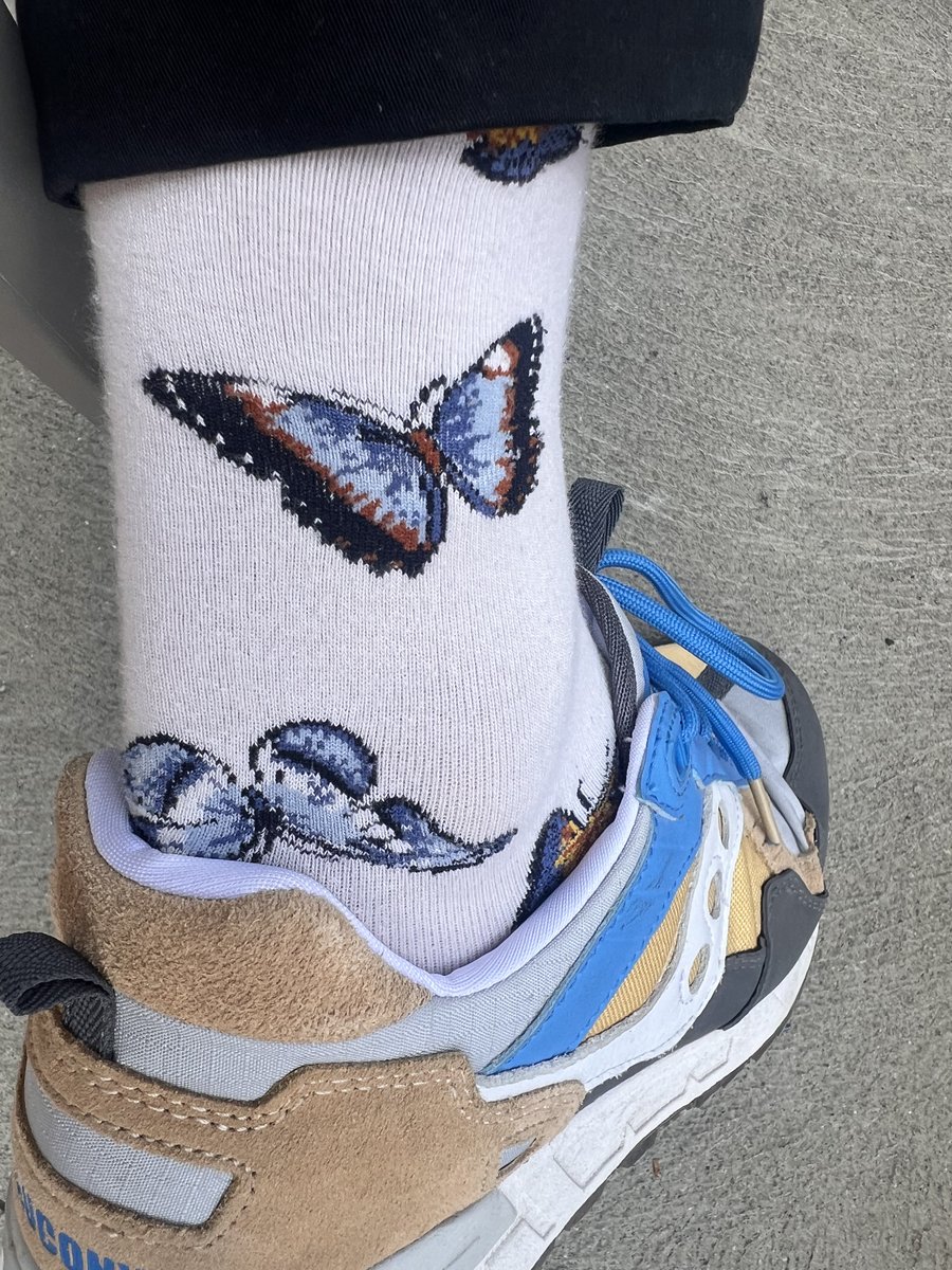 Wearing butterfly socks today in honour of <a href="/SashaMTL/">Sasha Luccioni, PhD 🦋🌎✨🤗</a> being recognized as one of the top 100 AI people in the world! Congrats again!!!