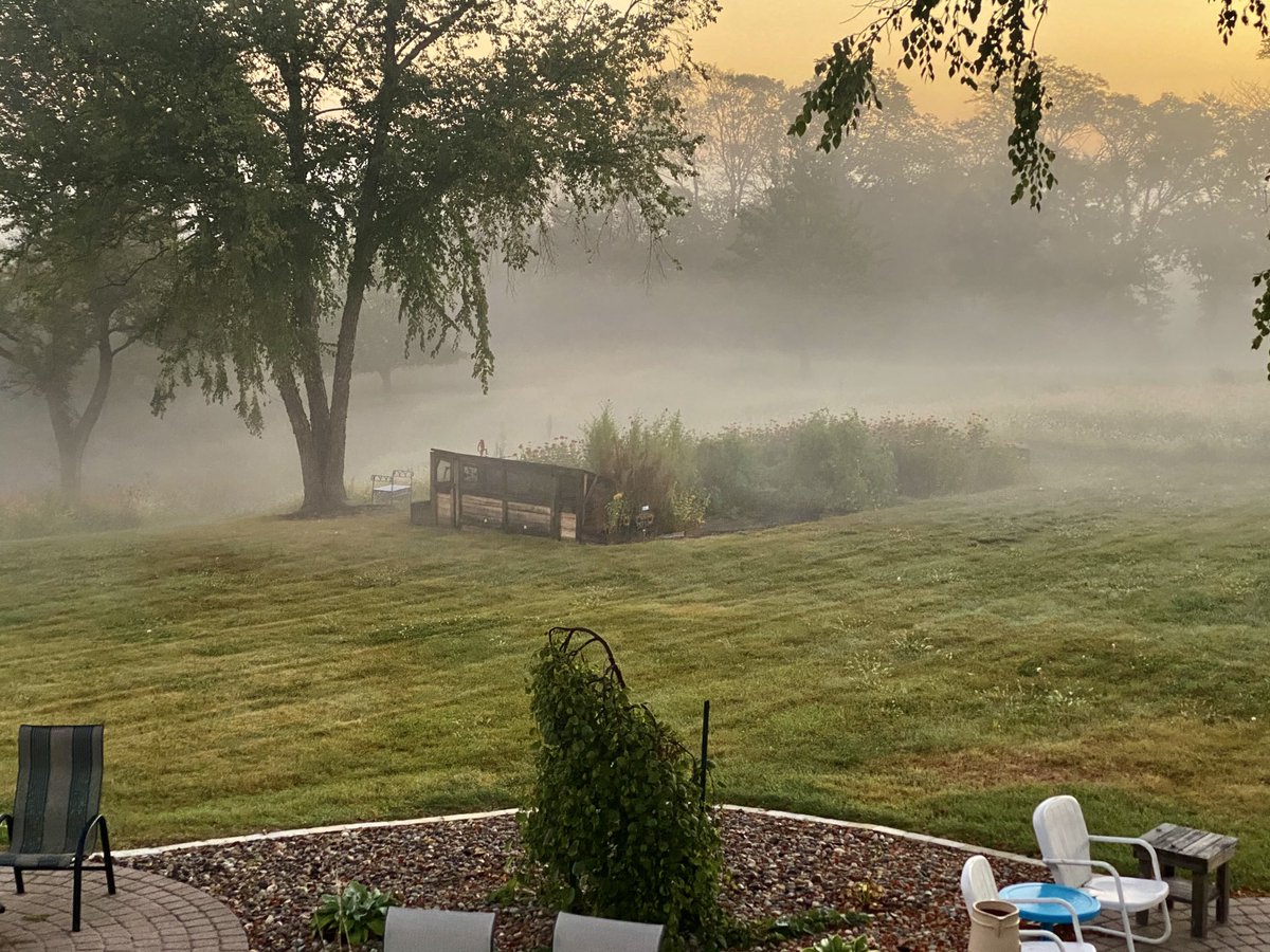 A beautiful shroud of fog covered the vegetable garden this morning. The late season vegetables are loving it. 

#ptsgarden #iowa #midwest #weather #friday #gardening #nature