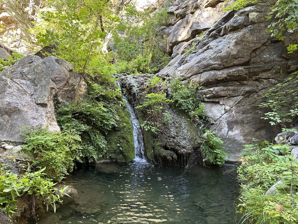 Dr. Jessie K. Pearl (@swampmonstah) on Twitter photo Secret grotto discoveries for our project using a machine learning approach to take satellite imagery and determine wetted channel length #AridRivers #groundTruthing #MountainStreams <a href="/nature_arizona/">The Nature Conservancy in Arizona</a> Secret grotto discoveries for our project using a machine learning approach to take satellite imagery and determine wetted channel length #AridRivers #groundTruthing #MountainStreams <a href="/nature_arizona/">The Nature Conservancy in Arizona</a>