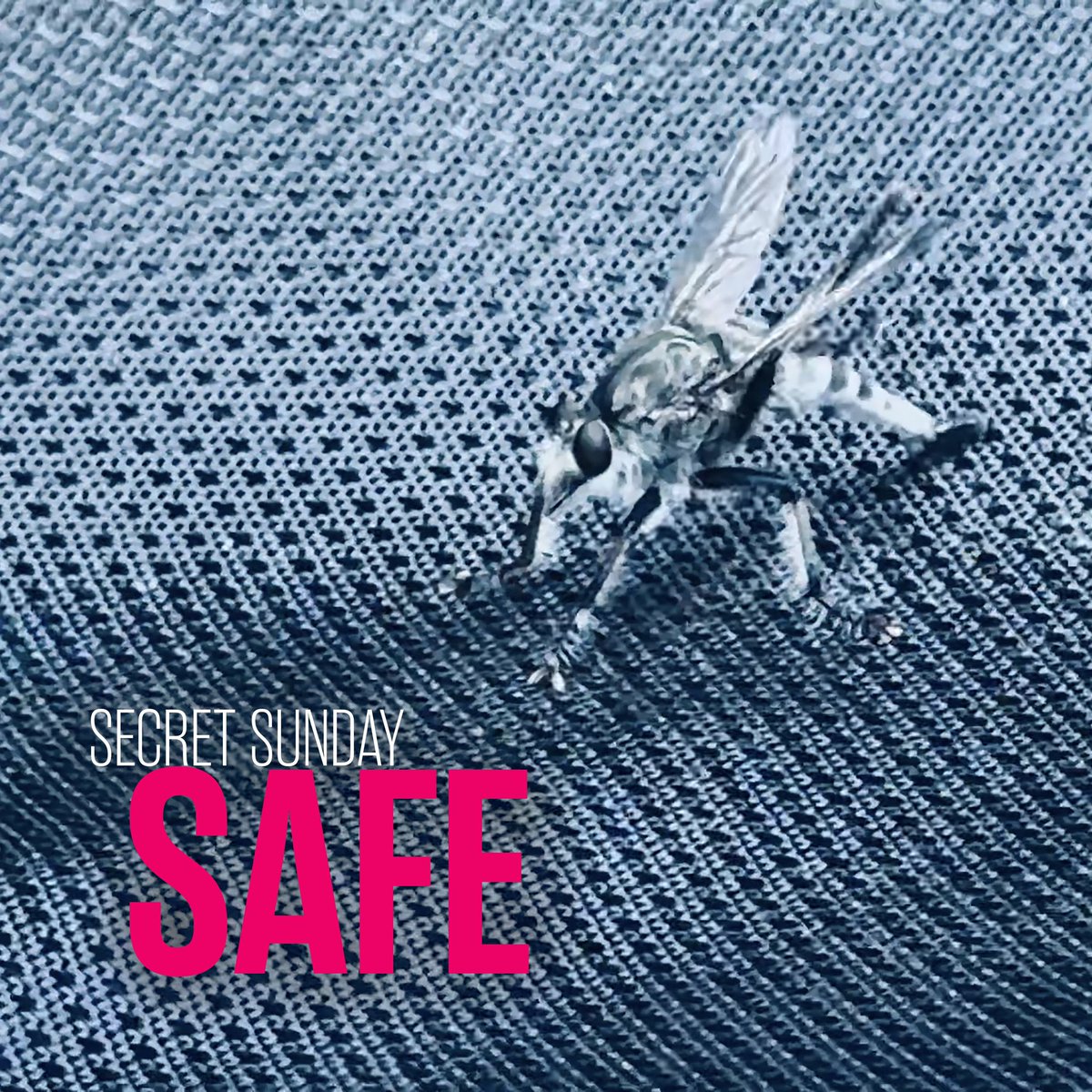 Thinking in backward time
Looking for something to hold
I wear this chrome
Weightless in the sound of hurt and healing

I feel myself
Lifting up and away, yeah
Up and away

LISTEN NOW! - distrokid.com/hyperfollow/se…

#safe #secretsunday #rock #single #altrock #oasis #music #television