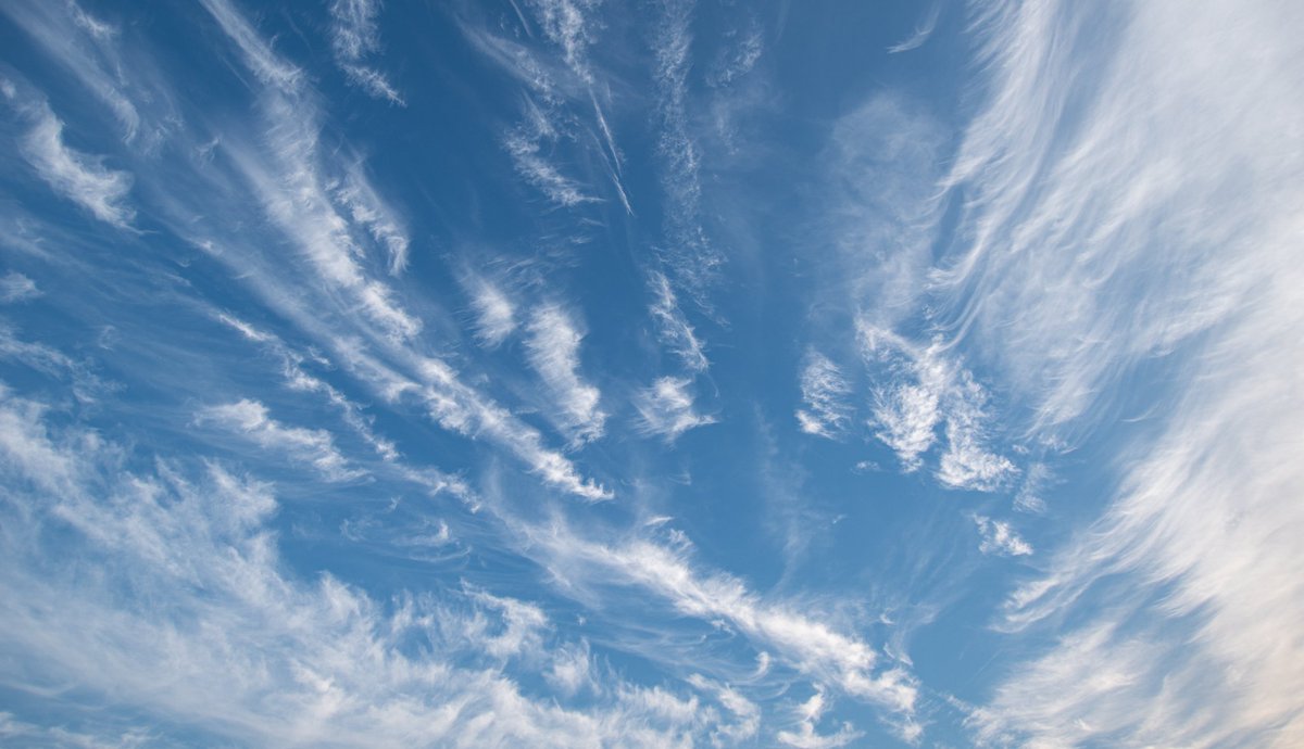 Andy Carr tweet media