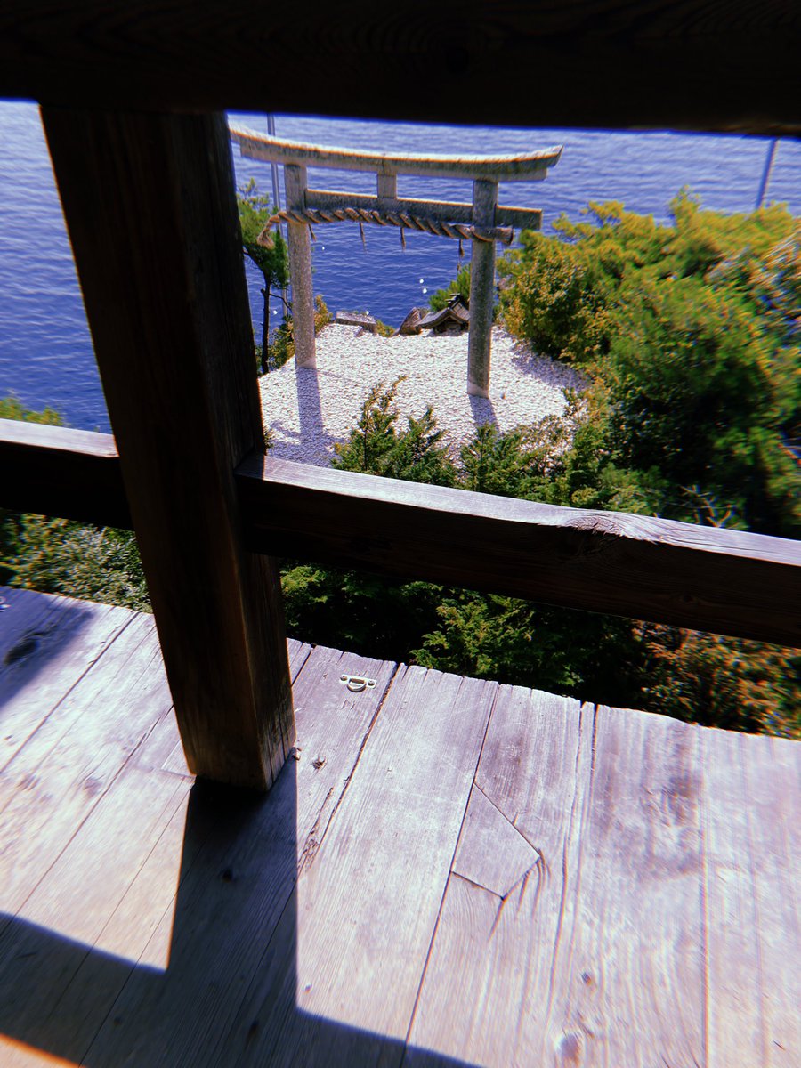 TEMARI🐺 tweet media