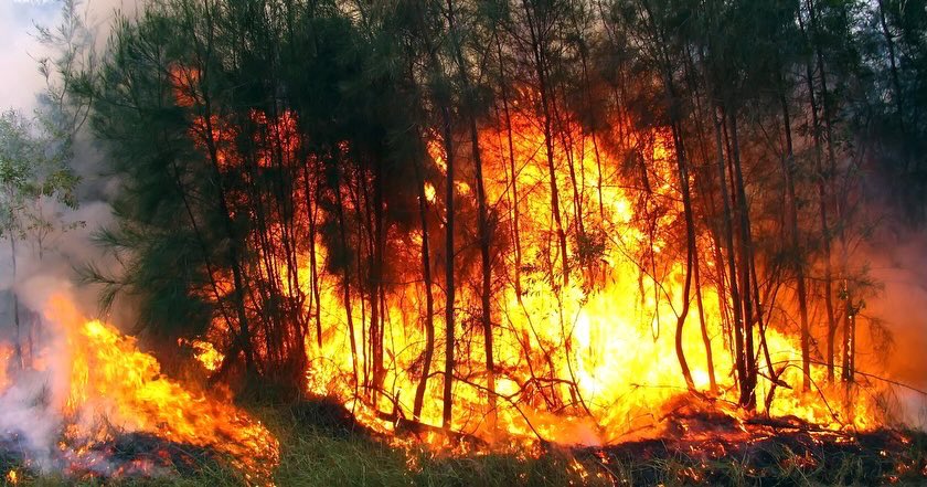 ANUNCIO IMPORTANTE

En respuesta al pedido del gobierno boliviano ante la emergencia ambiental, el Equipo Europa envía apoyo: bomberos y especialistas desde España y un helicóptero gestionado por Francia, que llegarán este sábado 21 en horas de la madrugada al aeropuerto de Viru