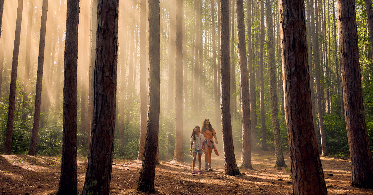 For The 3rd Time in 4 years, Explore Minnesota and Adventure Creative Win BEST IN BROADCAST Mercury Award from The U.S. Travel Association dlvr.it/TDTlQS