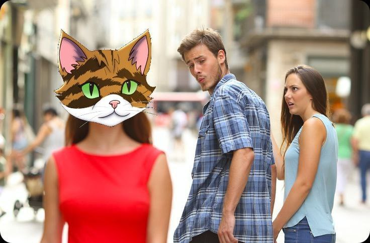TIGRA CTO tweet media