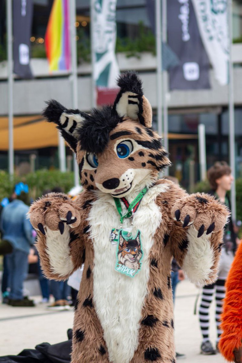 Happy lynx on #Eurofurence28 
If you wana snug i will be there few more days 💙

#FursuitFriday