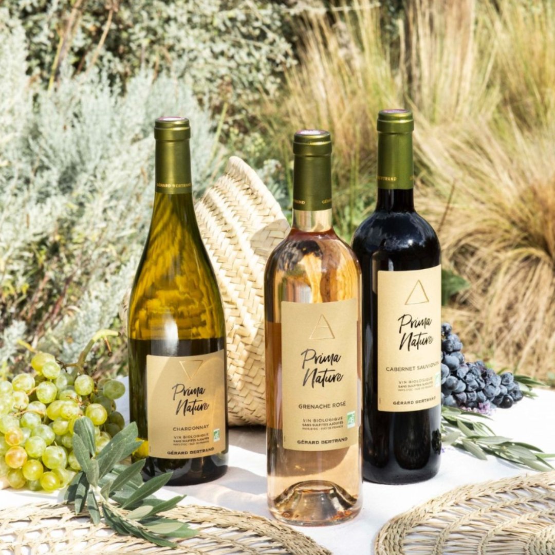 TennentsDirect's tweet photo. 🍇 Cheers to #GrenacheDay!

🌹 Discover @GerardBertrandO Prima Nature Grenache Rosé, a sulphite-free wine that delivers pure, vibrant aromas with delicate notes of raspberry and strawberry, followed by a soft floral finish

🛒 Order now at Tennent’s Direct https://t.co/LQmZYeOR9Z https://t.co/YiN8Af6Vm8