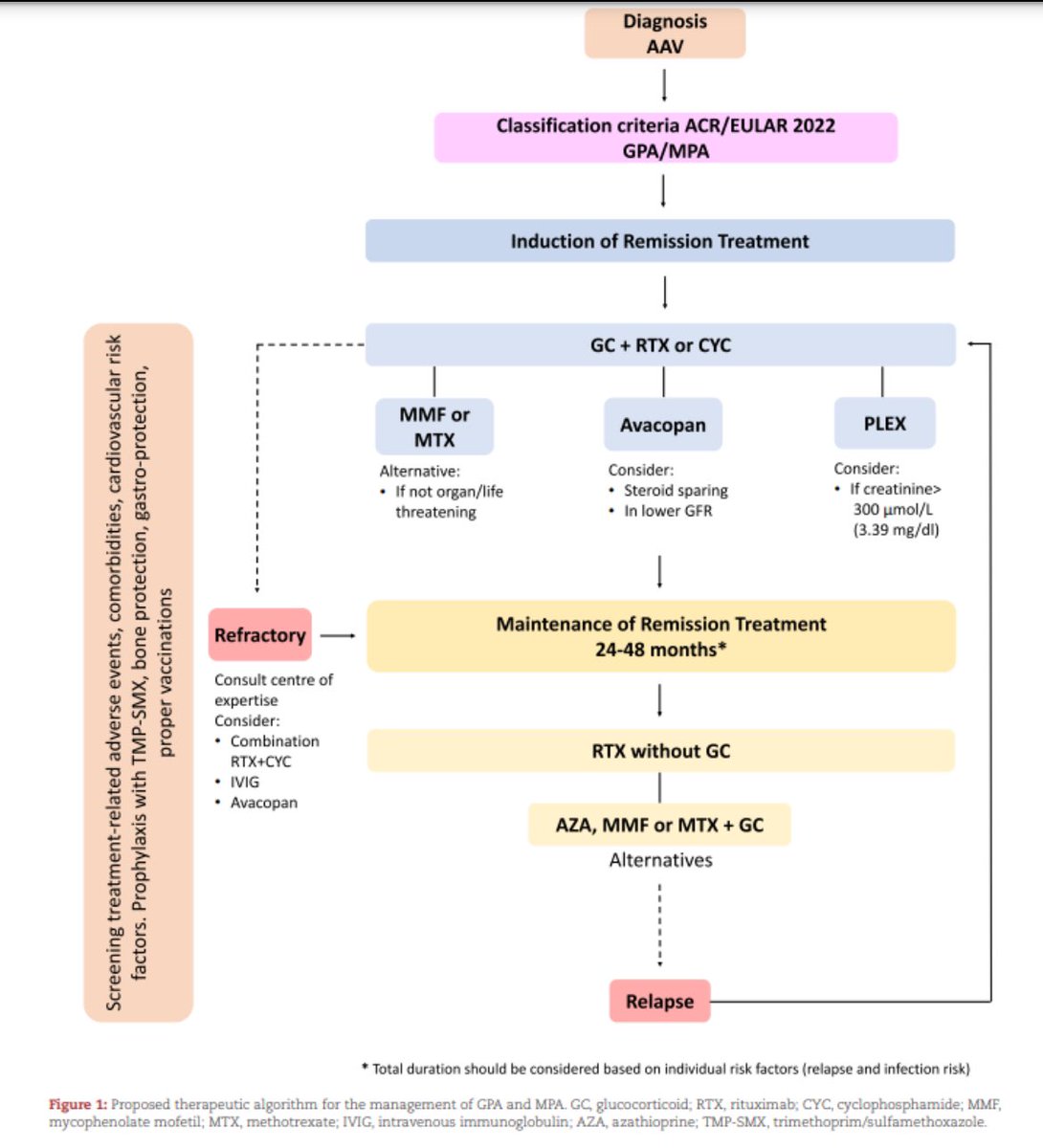🫘✅ANCA Vasculitis treatment

doi.org/10.1093/ndt/gf…

<a href="/NDTsocial/">NDT</a> <a href="/hjanders_hans/">Hans-Joachim Anders</a>