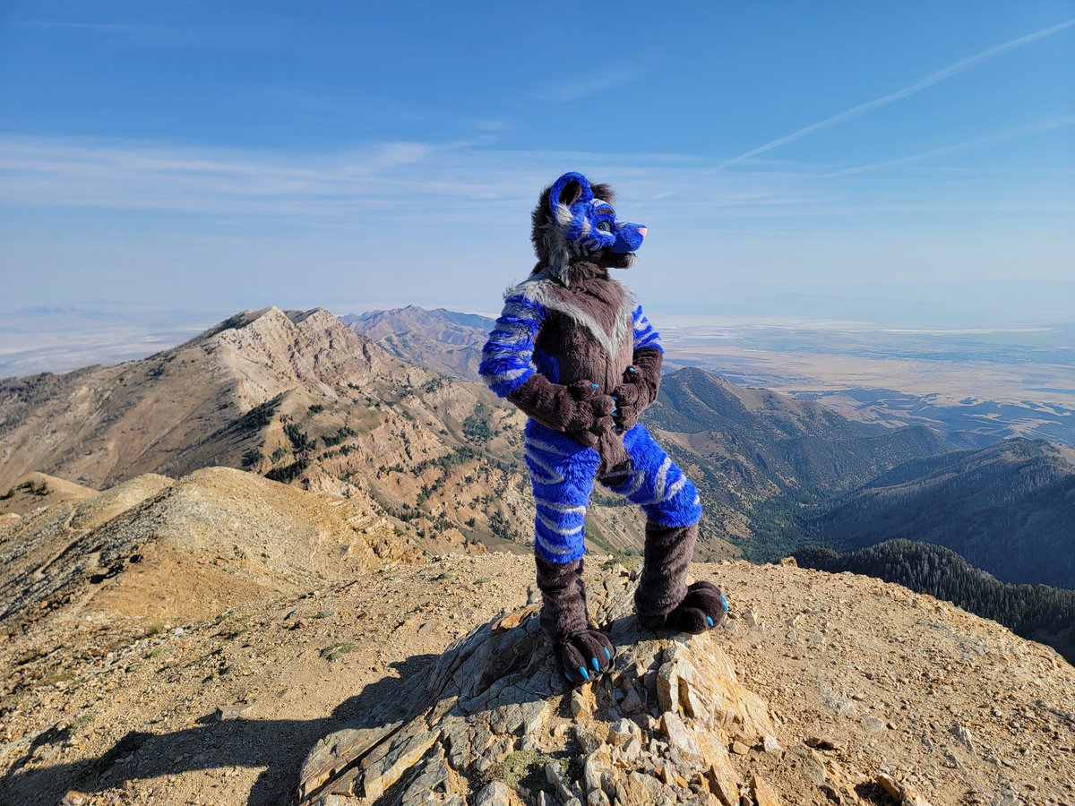 ❄Atticus Frost❄ (@atticus_frost) on Twitter photo Sometimes you just feel the need to go climb a mountain and ponder the great things about life as you take in the beautiful scenery. Will you come with me on my next adventure?
#FursuitFruday #Mountains #Tiger #Nature
🪡: <a href="/TokaiSuiting/">Tokai Suiting</a> Sometimes you just feel the need to go climb a mountain and ponder the great things about life as you take in the beautiful scenery. Will you come with me on my next adventure?
#FursuitFruday #Mountains #Tiger #Nature
🪡: <a href="/TokaiSuiting/">Tokai Suiting</a>